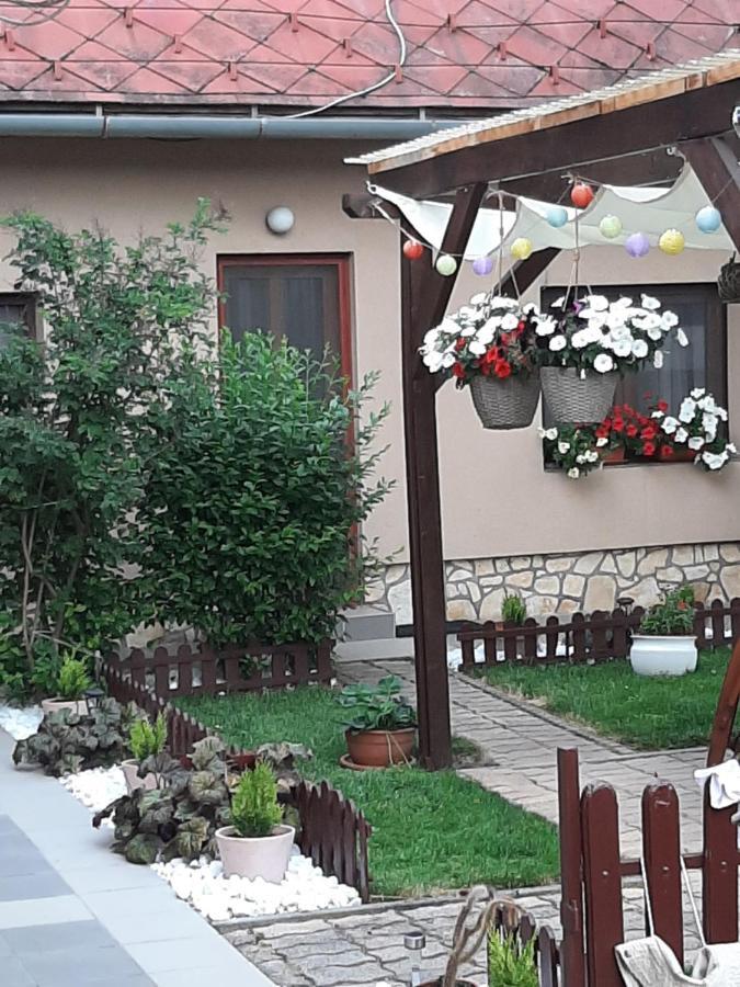 Apartament Bobita Haza Eplény Zewnętrze zdjęcie