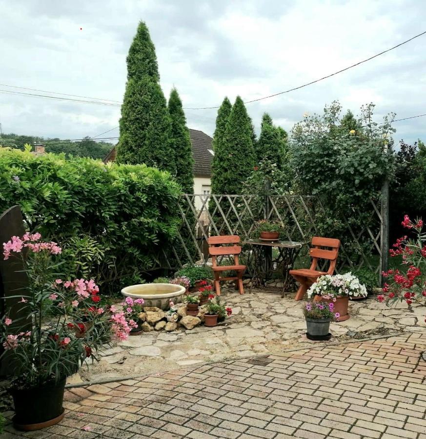 Apartament Bobita Haza Eplény Zewnętrze zdjęcie